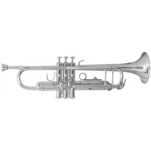 Trompete Vincent Bach TR501S