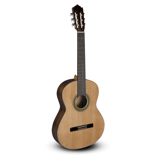 GUITARRA PACO CASTILLO 201 