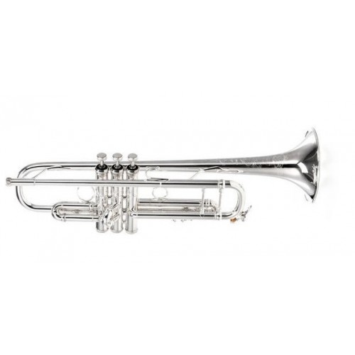 ESTOJO TROMPETE V. BACH AB190