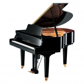 YAMAHA DGB1 PE ENST